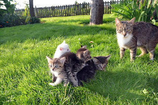 Mom! Help!