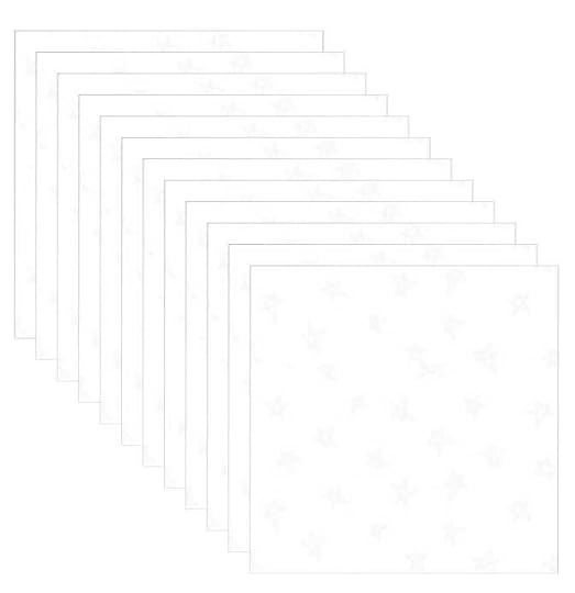 November 2023 NZP Block of the Month