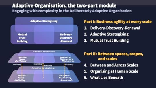 Adaptive Organisation, the two-part module: Engaging with complexity in the Deliberately Adaptive Organisation