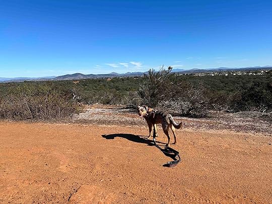 Carmel Mountain Preserve Loop