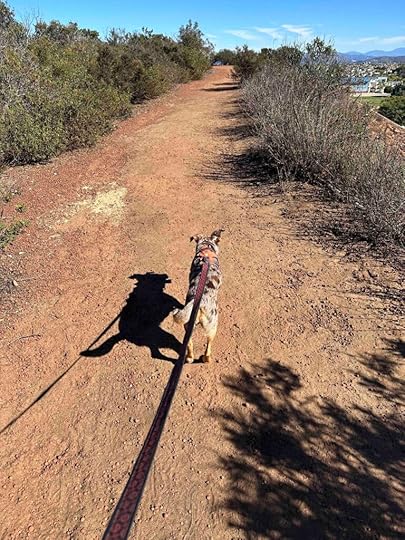 Carmel Mountain Preserve Loop Trail