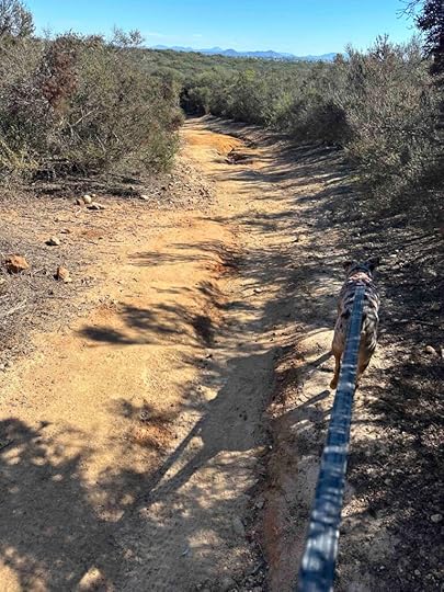Carmel Mountain Preserve Loop Trail