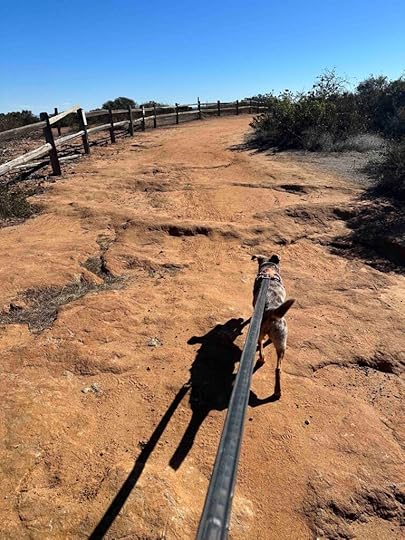 Carmel Mountain Preserve Loop Trail