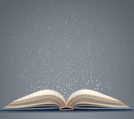 French adjectives vs pronouns