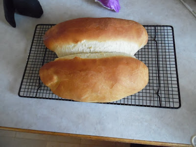 photo of sour dough french bread