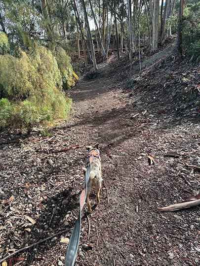on the trail at Miramar Reservoir