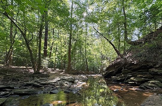 sandy-springs-georgia