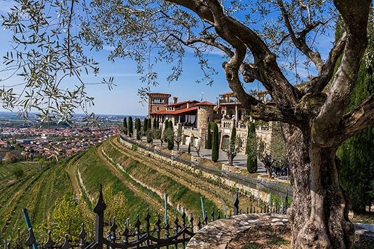 historic winery in italy