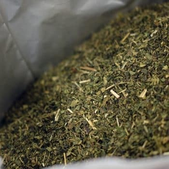 Pure brandnetelthee Nettle Kettle - Thee.be