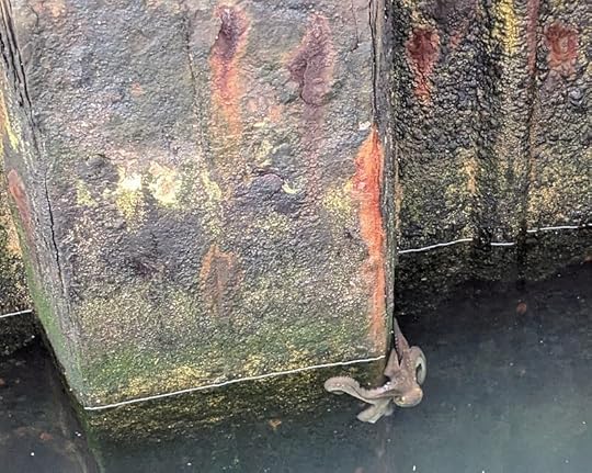 Octopus neighbor