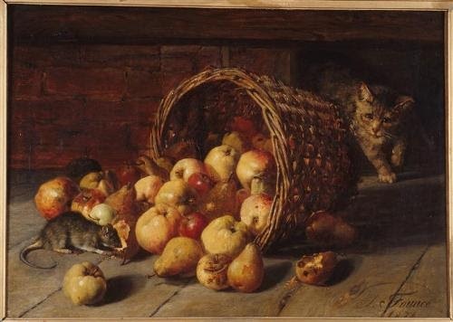 http://1.bp.blogspot.com/_n5cjzrGB6Dk/TO51BwaFnrI/AAAAAAAARK4/XWPnOLDx0ho/w1200-h630-p-k-no-nu/cat-mouse-food-500x356.jpg