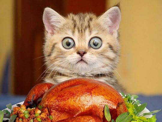 https://external-content.duckduckgo.com/iu/?u=http%3A%2F%2Fwww.fuzzfeed.com%2Fwp-content%2Fuploads%2F2015%2F11%2Fkitty-with-turkey.jpg&f=1&nofb=1&ipt=9e87c1acf51e9b3d852d81e74d829f676893d4087bac6bb15300d8458f4d065b&ipo=images