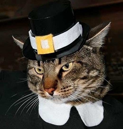 https://petstips.net/wp-content/uploads/2019/01/Clothed-Cats-10-Thankful-Thanksgiving-Pilgrim-Cats-The-Pet-Collective.jpg