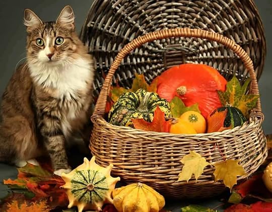 http://i0.wp.com/amyshojai.com/wp-content/uploads/2014/11/CatThanksgiving_6990908_original.jpg