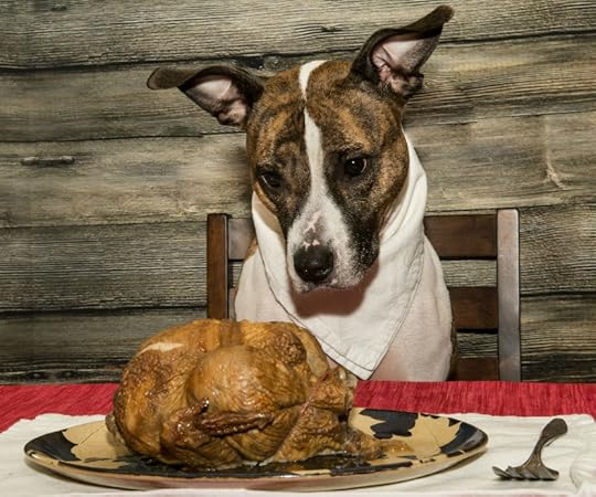 https://www.muscogeemoms.com/wp-content/uploads/2016/11/thanksgiving-pet-safety.jpg