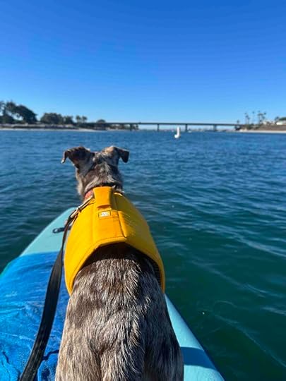 Sunny checking out the birds at mission bay