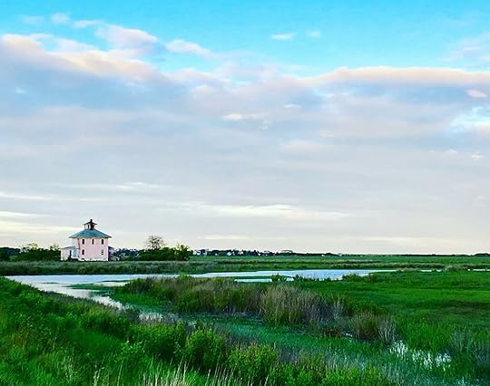 Pink House in marsh