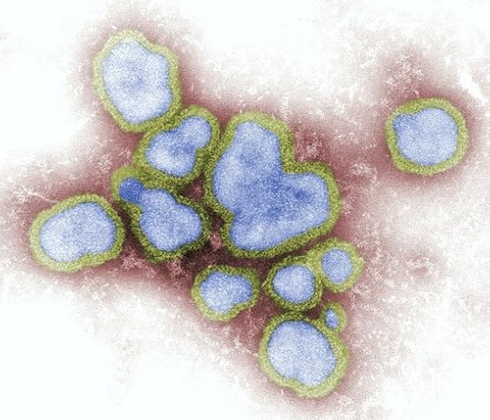 Image of the Flu virus.