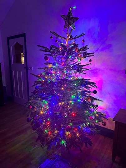 Photo shows a Christmas tree with lit fairy lights. 