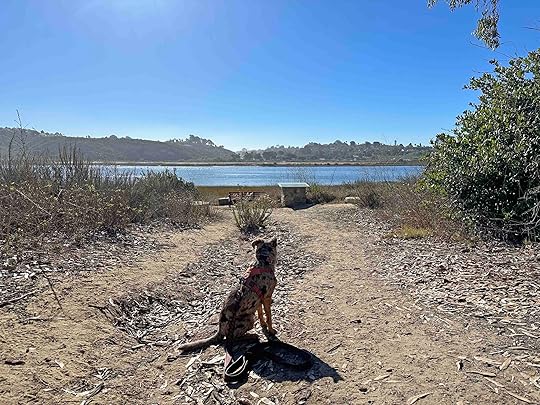 Batiquitos Lagoon Foundation
