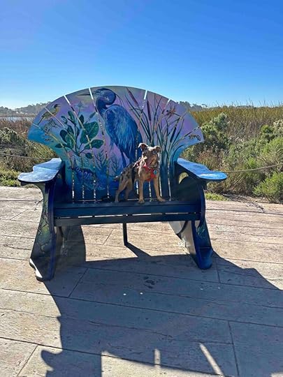 Sunny on the big chair