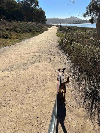 Batiquitos Lagoon Trail