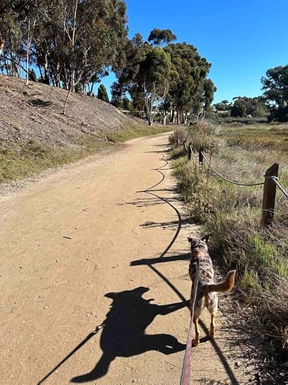 Batiquitos Lagoon Trail
