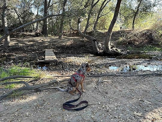 Marian Bear Memorial Park