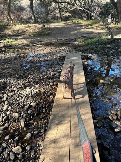 walking over the creek