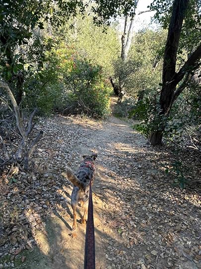On the San Clemente Trail at Marian Bear Memorial Park