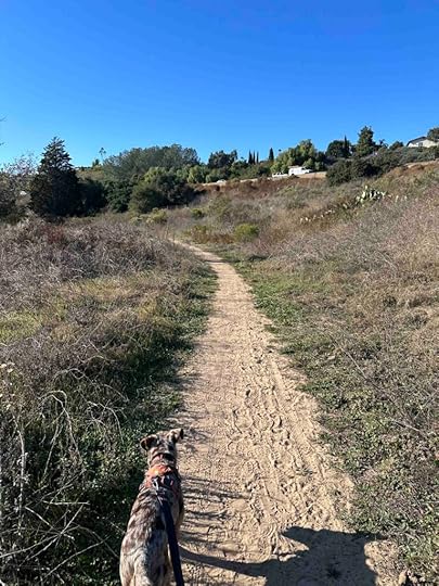 Marian Bear Memorial Park near the highway