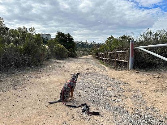 Tecolote Canyon Natural Park trail with University of San Diego in background