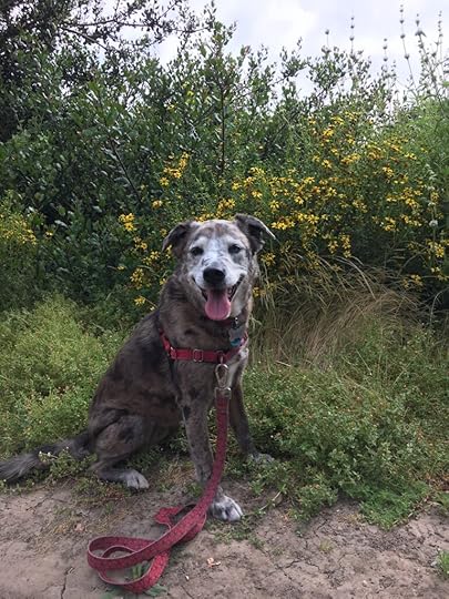 Karlie at Tecolote Canyon Natural Park