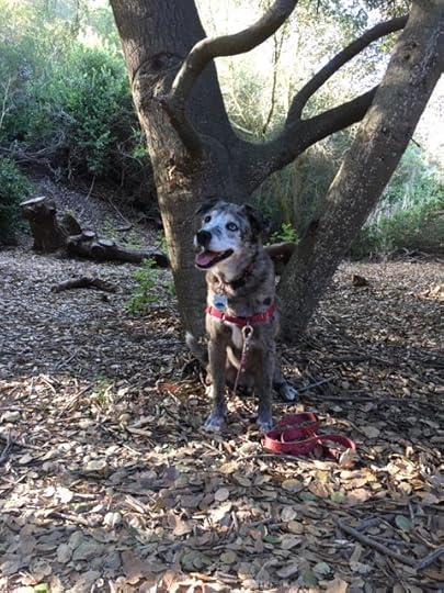 Karlie under the tree