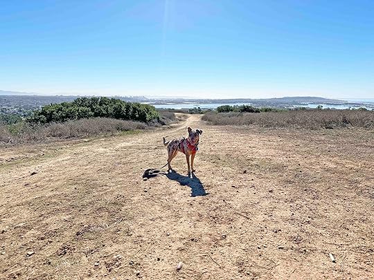 Kate Sessions Memorial Park