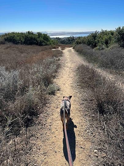 Sunny on the trail at Kate Sessions Memorial Park Trails