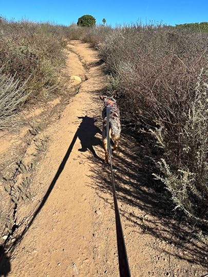 Sunny on the trail at Kate Sessions Memorial Park trails
