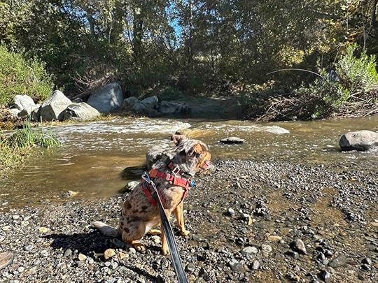Santa Margarita River Trail Preserve