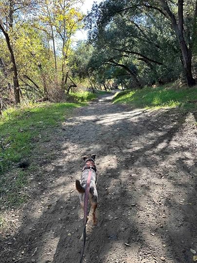start of the trail at Santa Margarita River Trail Preserve