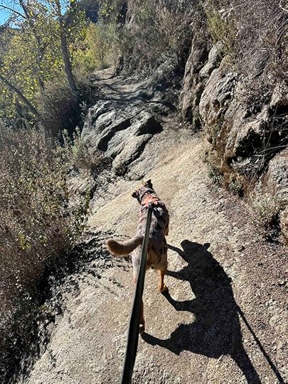 Sunny climbing the ledge