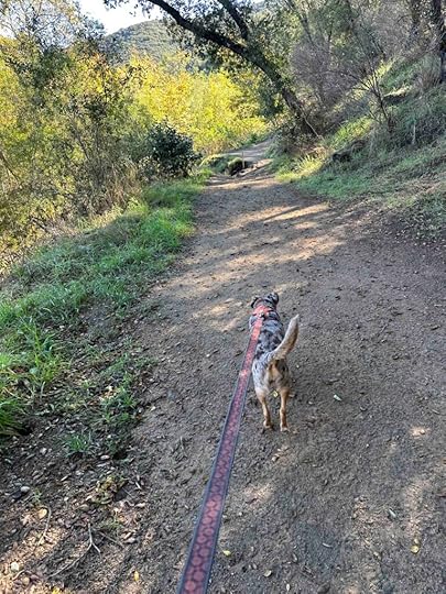 Santa Margarita River Trail Preserve