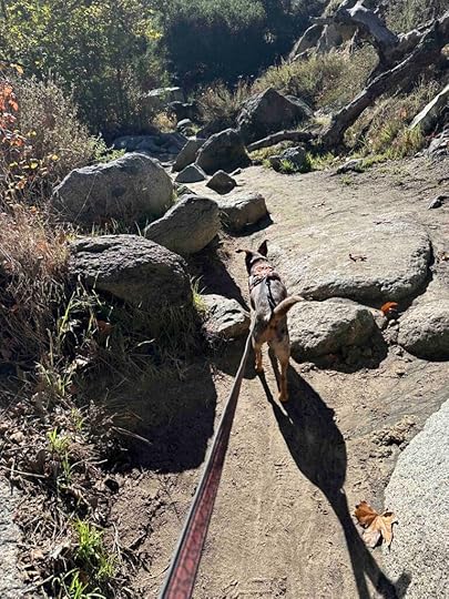 over the rocks at Santa Margarita River Trail Preserve