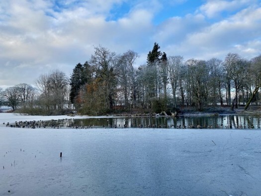 Fyvie Loch