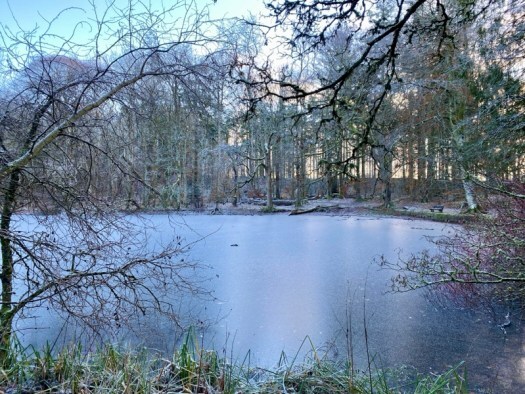 winter colors over Fyvie Loch