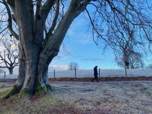 walking by a tree