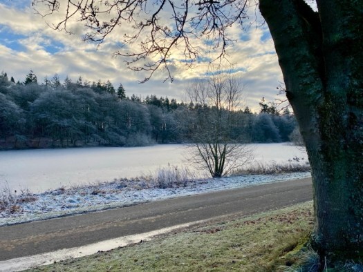 Fyvie Loch