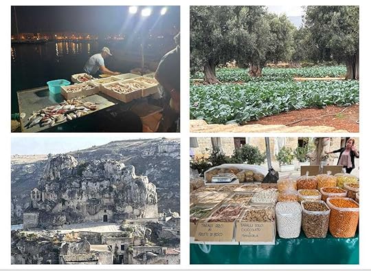 A collage of different images of foodDescription automatically generated