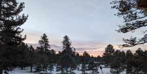 Sunrise over evergreens