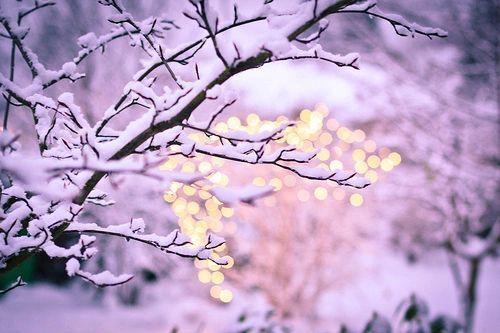 winter-light