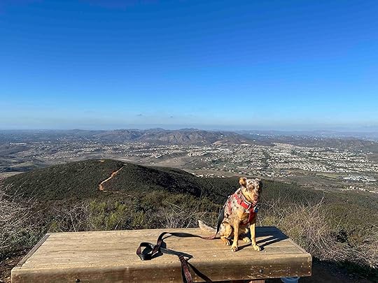 Black Mountain Nighthawk Trail